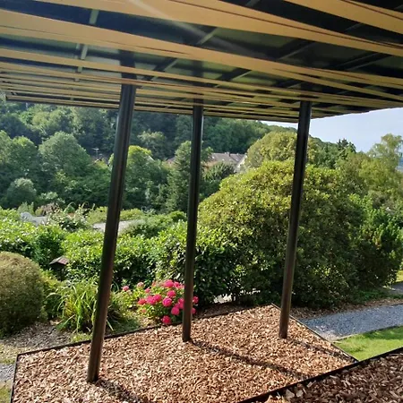 1step2allstars Baumhaus *