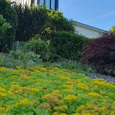 1step2allstars Baumhaus