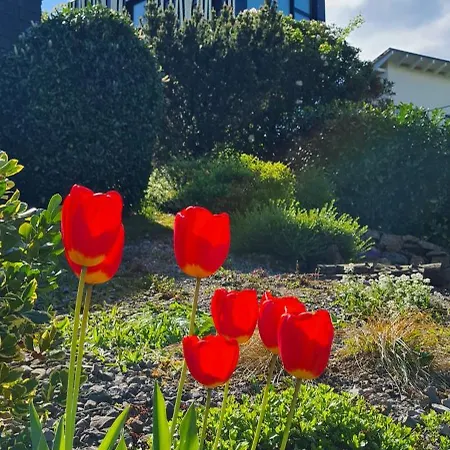 1step2allstars Baumhaus Ferienhaus