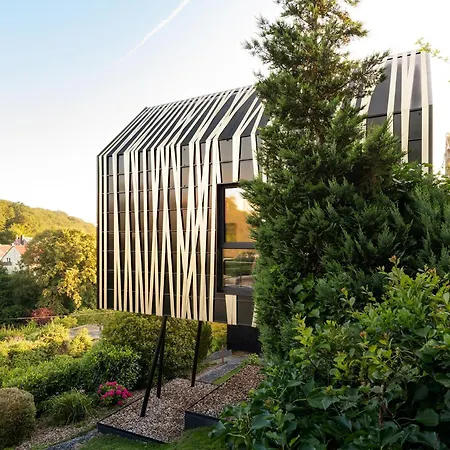 1step2allstars Baumhaus Wuppertal