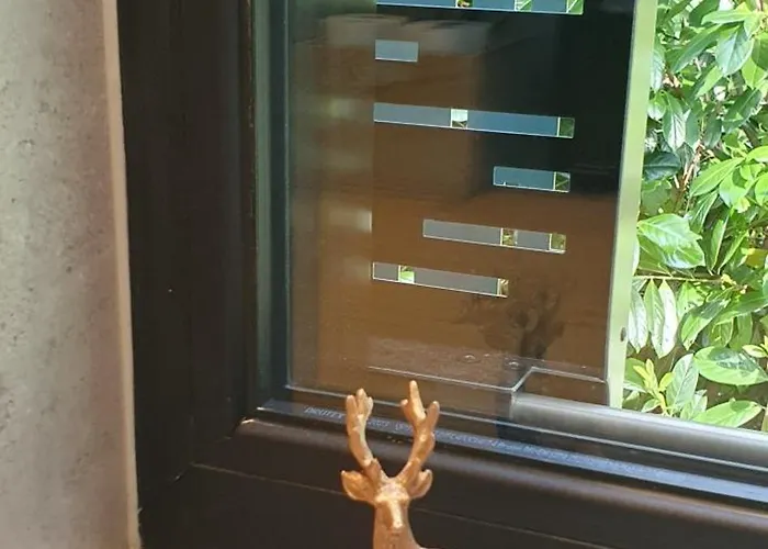 1step2allstars Baumhaus Hébergement de vacances *