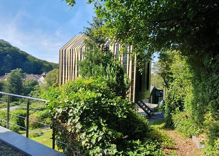 1step2allstars Baumhaus