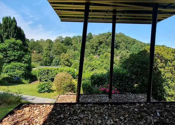 1step2allstars Baumhaus *