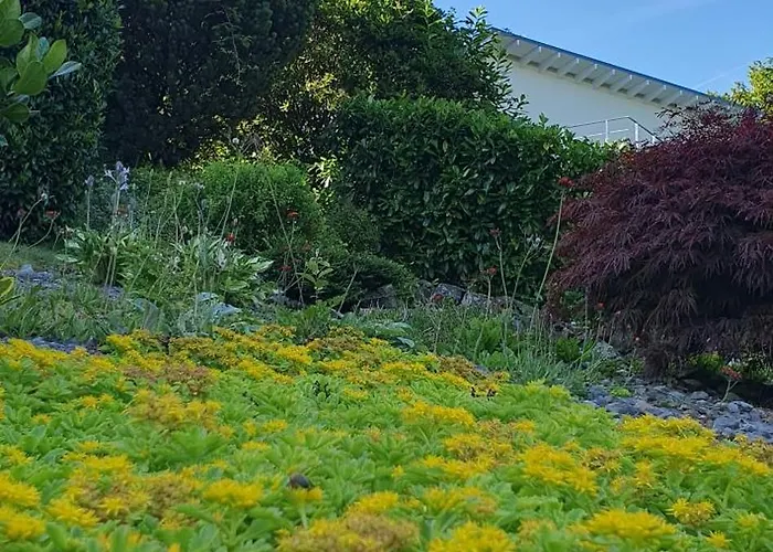 1step2allstars Baumhaus