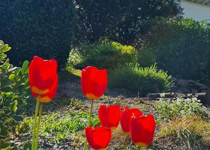 1step2allstars Baumhaus Ferienhaus