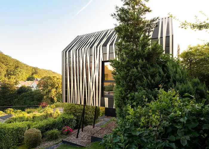 1step2allstars Baumhaus Wuppertal